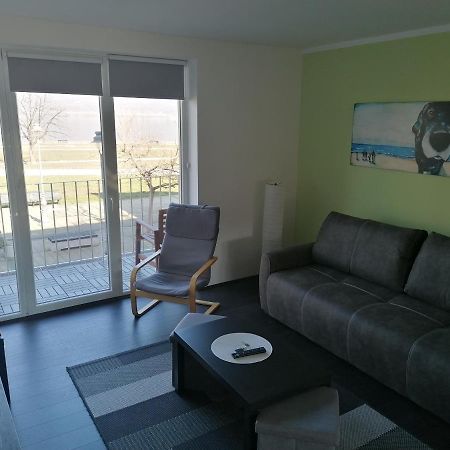 Apartman Terassa Donji Milanovac Exterior foto