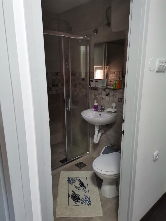 Apartman Terassa Donji Milanovac Exterior foto
