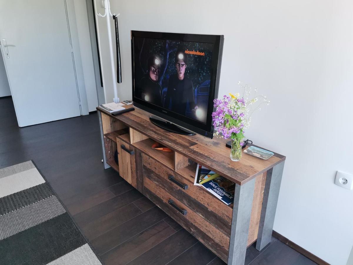 Apartman Terassa Donji Milanovac Exterior foto