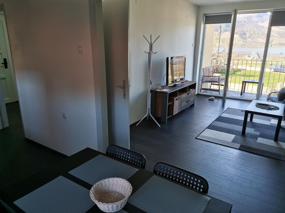 Apartman Terassa Donji Milanovac Exterior foto