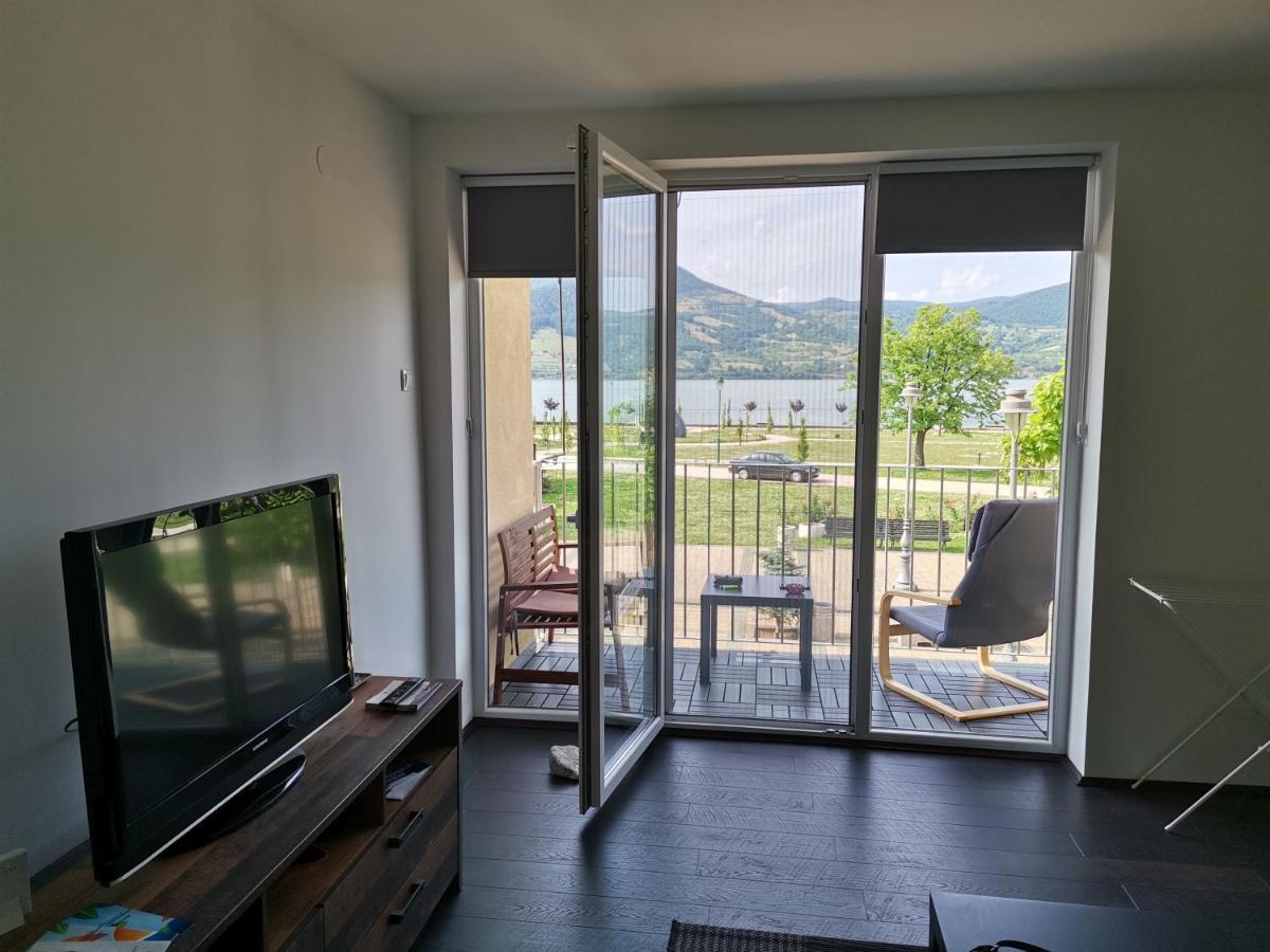 Apartman Terassa Donji Milanovac Exterior foto