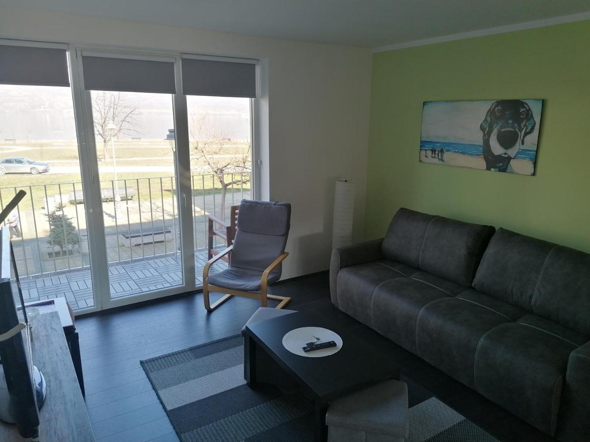 Apartman Terassa Donji Milanovac Exterior foto