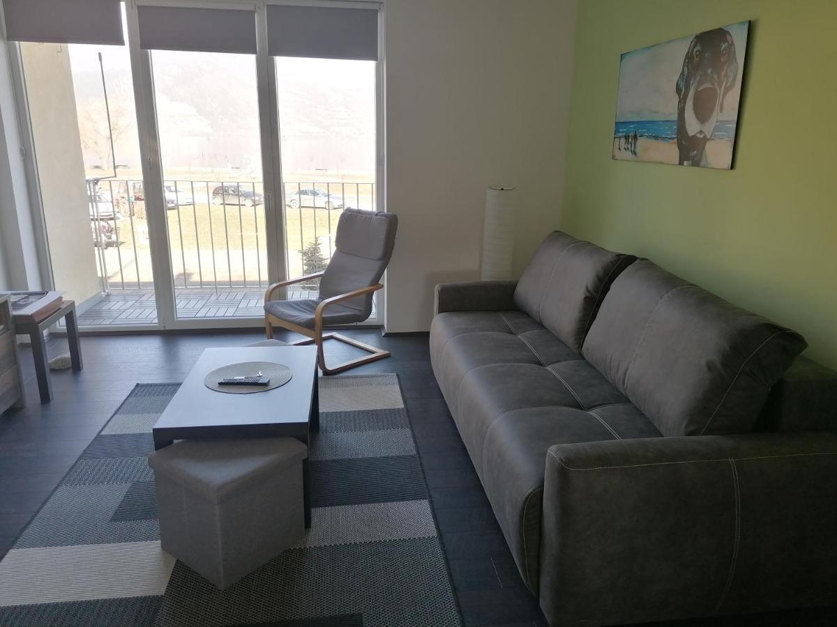 Apartman Terassa Donji Milanovac Exterior foto
