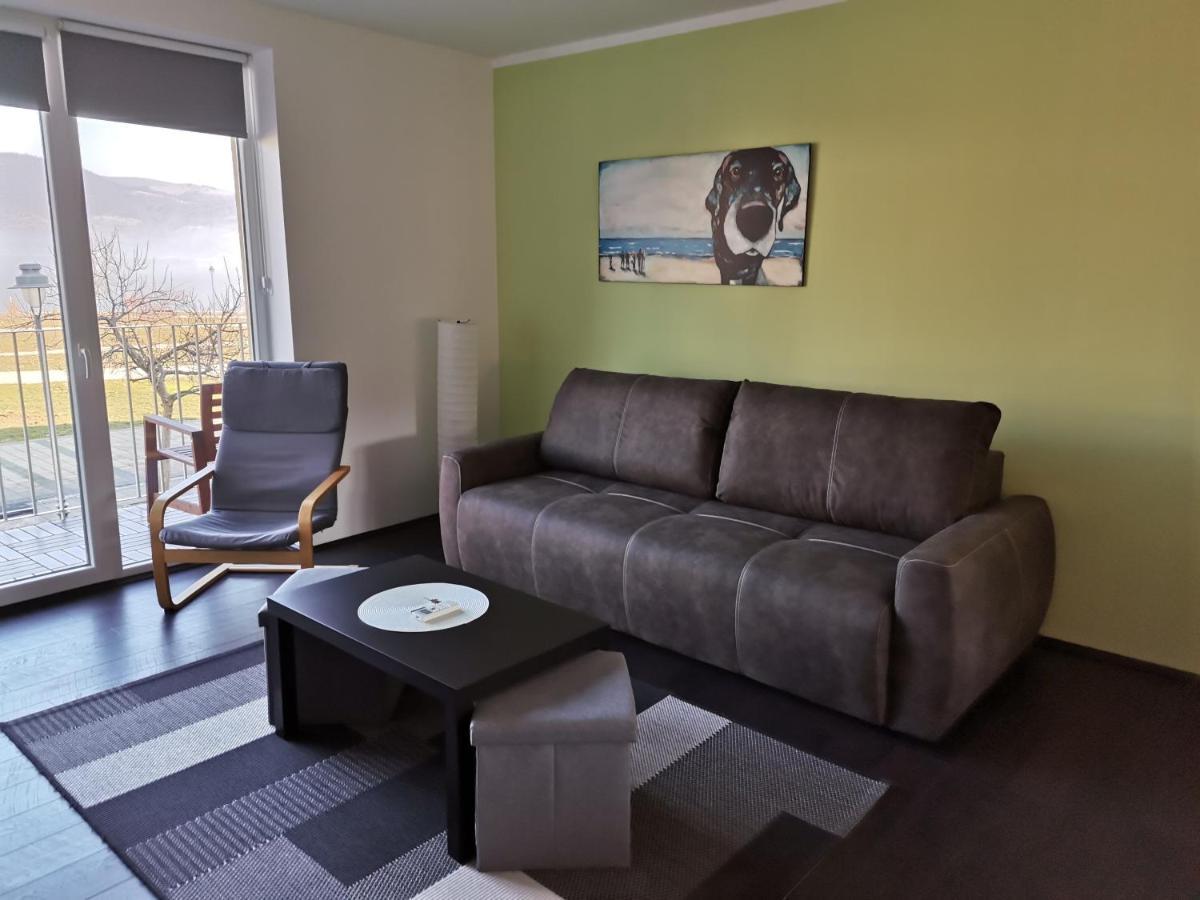 Apartman Terassa Donji Milanovac Exterior foto