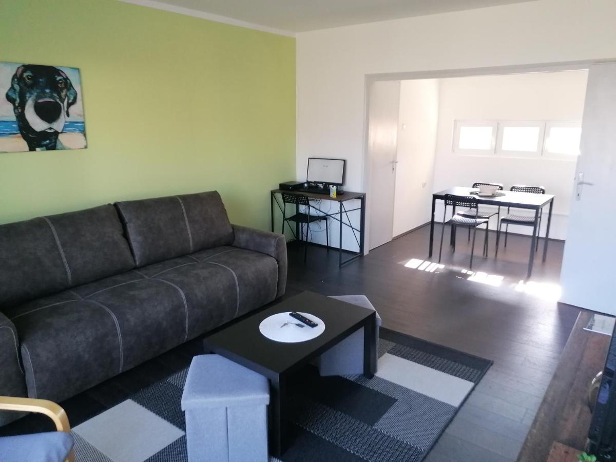 Apartman Terassa Donji Milanovac Exterior foto